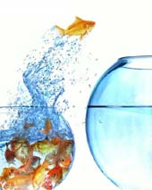 vis1 upgrade je inspiratie