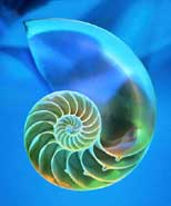 trainers op de open dag